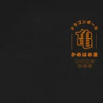 T-shirt para fãs Dragon Ball - Collection - Image 4